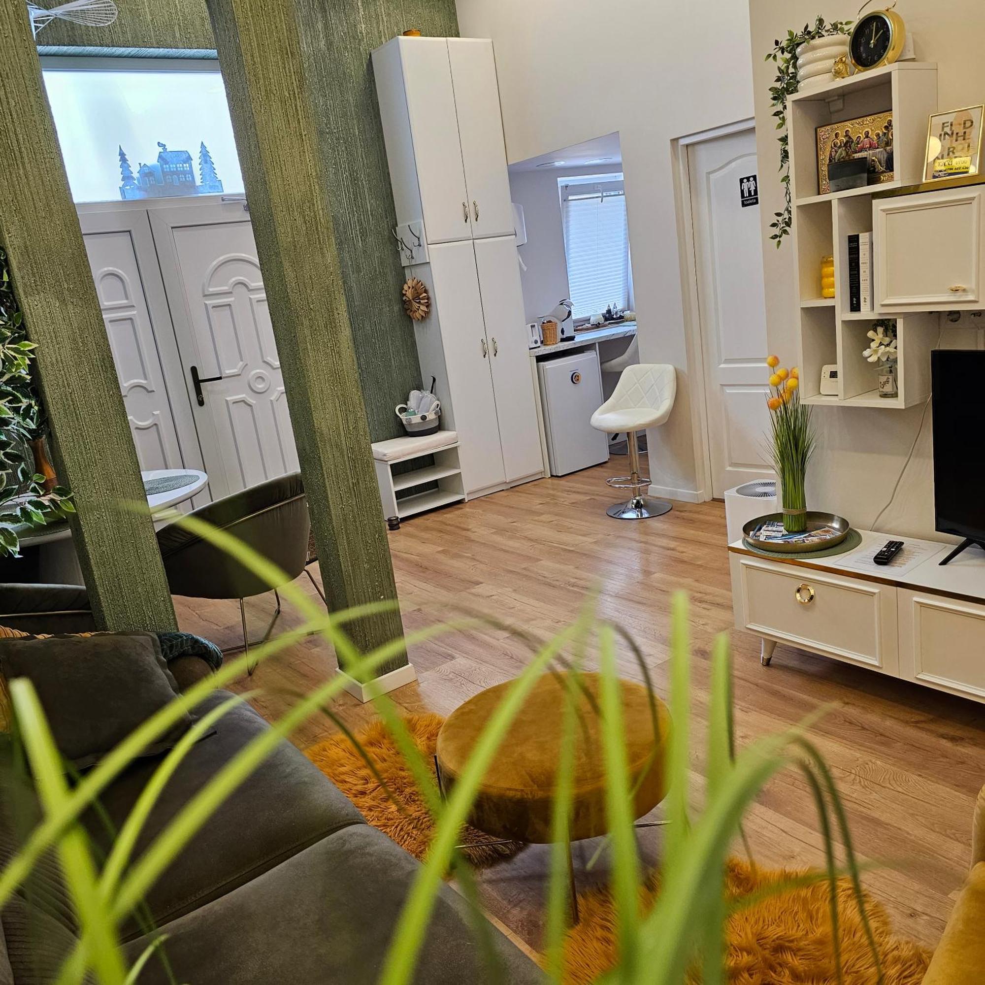 Apartament M Vatra Dornei Eksteriør bilde